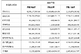 那曲如何避免债务纠纷？专业追讨公司教您应对之策